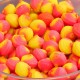 Addicted Wafters Clams Orange - N Butyric