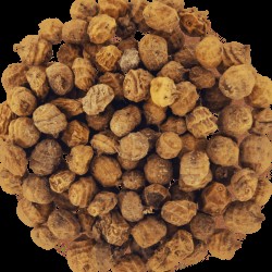 Тигров Фъстък Tiger Nuts