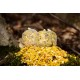 PVA Mix Dudi ”Yellow Tiger” 2.5kg PVA Mix Dudi ”Yellow Tiger” 2.5kg