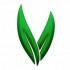 PVA ORGANIC